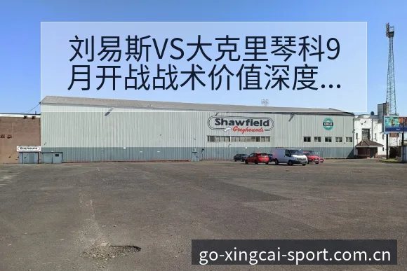 刘易斯VS大克里琴科9月开战战术价值深度解析与争议舆论观 - 杏彩