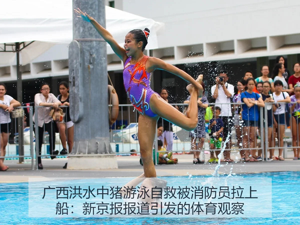广西洪水中猪游泳自救被消防员拉上船：引发的体育观察